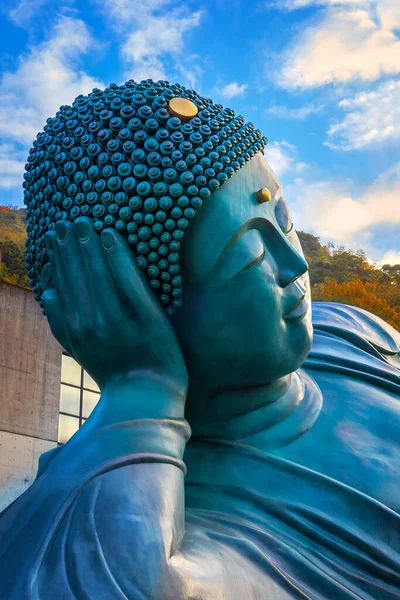 Fukuoka Daki Nanzoin Tapınağı Dünyanın Büyük Bronz Heykeli Olduğunu Iddia — Stok fotoğraf
