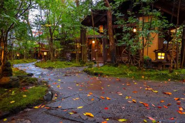 Kurokawa Onsen Japonya 'nın en çekici kaplıca kasabalarından biridir. Kasabanın yolları ryokan, hamam, çekici dükkanlar ve kafelerle doludur.