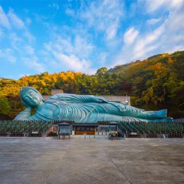 Fukuoka 'daki Nanzoin Tapınağı, dünyanın en büyük bronz heykeli olduğunu iddia eden Yaslanan Buda' nın (Nehanzo) dev heykeline ev sahipliği yapmaktadır..