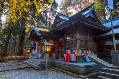 Miyazaki, Japonya - 24 Kasım 2022 Takachiho Shrine, Amaterasu Omikami 'nin torunu Ninigi no Mikoto' yu kurdu. Evlilik ve arındırma tanrısı olduğu için herkes ona tapıyor.