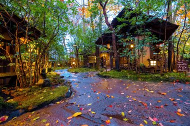 Kurokawa Onsen Japonya 'nın en çekici kaplıca kasabalarından biridir. Kasabanın yolları ryokan, hamam, çekici dükkanlar ve kafelerle doludur.