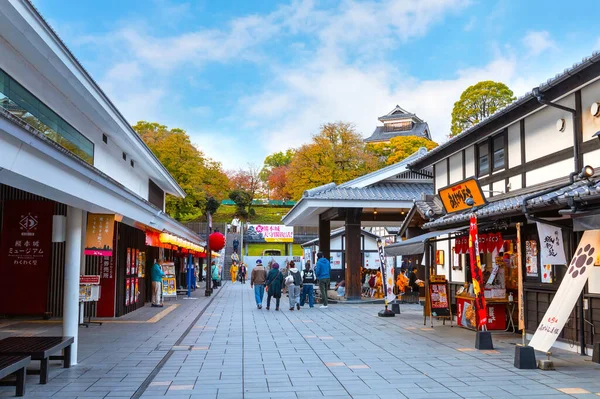 Kumamoto Japón Nov 2022 Sakura Baba Josaien Una Instalación Para — Foto de Stock