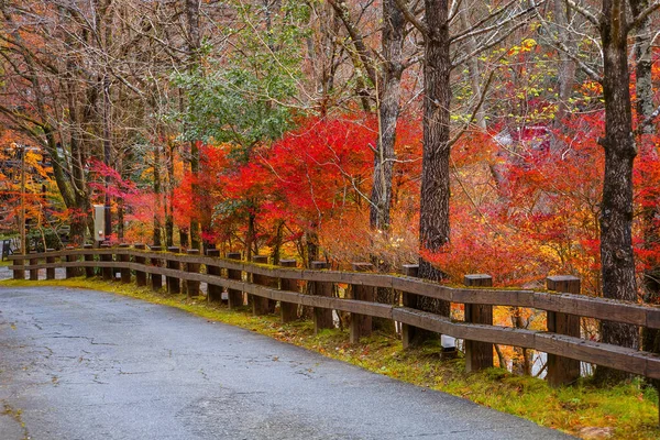 Droga Lokalna Jesiennymi Liśćmi Kurokawa Onsen Miyazaki Japonia — Zdjęcie stockowe