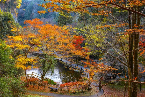 Japonya Nın Miyazaki Şehrinde Takachiho Boğazı Renkli Sonbaharda Bir Yol — Stok fotoğraf
