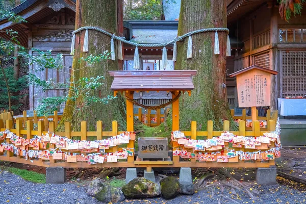 Takachiho Shrine Founded 900 Year Ninigi Mikoto Grandchild Amaterasu Omikami — Stock Photo, Image
