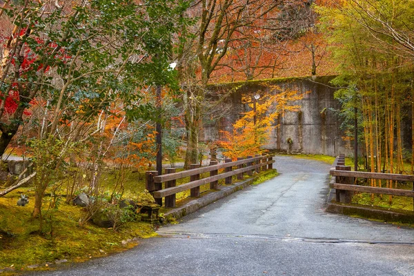 Lokale Straße Mit Herbstlaub Bei Kurokawa Onsen Stadt Kumamoto Japan — Stockfoto