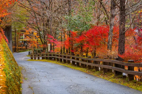 Local Road Autumn Leaves Kurokawa Onsen Town Kumamoto Japan — Stock Photo, Image