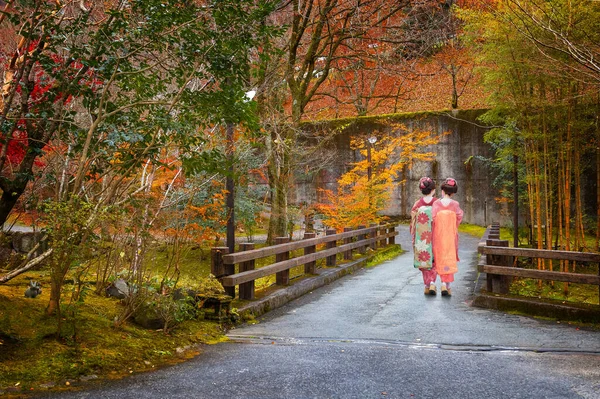 Японская Гейша Традиционном Платье Кимоно Зонтиком Ходит Местной Дороге Осенними — стоковое фото