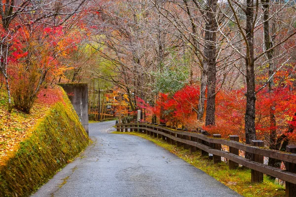 Eine Lokale Straße Mit Herbstblättern Bei Kurokawa Onsen Ist Eine — Stockfoto