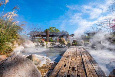 Beppu, Oita 'da Oniishibozu Jigoku kaplıcaları. Kasaba onsen (kaplıcaları) ile ünlüdür. 8 büyük jeotermal noktaya sahiptir ve 