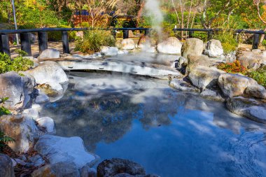 Beppu, Oita 'da Oniishibozu Jigoku kaplıcaları. Kasaba onsen (kaplıcaları) ile ünlüdür. 8 büyük jeotermal noktaya sahiptir ve 