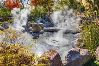 Beppu, Oita 'da Oniishibozu Jigoku kaplıcaları. Kasaba onsen (kaplıcaları) ile ünlüdür. 8 büyük jeotermal noktaya sahiptir ve 