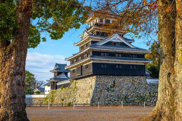 Замок Накацу Городе Накацу Оита Япония Известный Один Трех Мидзудзиро — стоковое фото