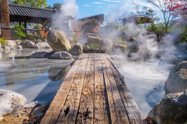 Beppu, Oita 'da Oniishibozu Jigoku kaplıcaları. Kasaba onsen (kaplıcaları) ile ünlüdür. 8 büyük jeotermal noktaya sahiptir ve 