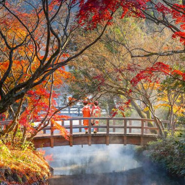 Geleneksel Kimono Elbiseli Japon Geyşa Kız Meşhur Yufuin Tatil Köyü 'ndeki Parkta Sonbahar Sahnesi' nde geziniyor.