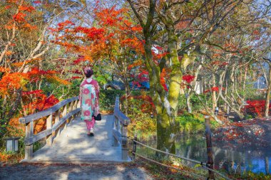 Geleneksel Kimono Elbiseli Japon Geyşa Kız Meşhur Yufuin Tatil Köyü 'ndeki Parkta Sonbahar Sahnesi' nde geziniyor.