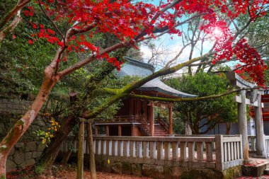 Fukuoka 'daki Dazaifu Tenmangu türbesi Heian döneminin bilgini ve politikacısı Sugawara Michizane' nin ruhuna adanmıştır.