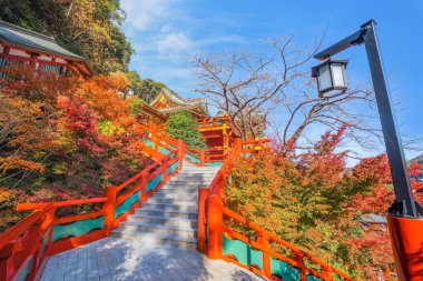 Kashima City 'deki Yutoku Inari tapınağı, Saga Bölgesi. Japonya 'nın Kyoto' daki Fushimi Inari ve Aichi 'deki Toyokawa Inari ile birlikte Inari' ye adanmış en iyi üç türbesinden biri olarak kabul edilir.