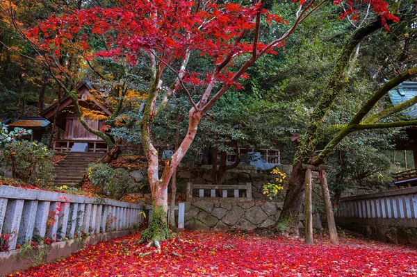 Dazaifu Tenmangu Sanktuarium Fukuoka Poświęcony Duchowi Sugawara Michizane Uczony Polityk — Zdjęcie stockowe