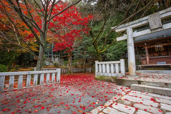 Santuario Dazaifu Tenmangu Fukuoka Dedicato Allo Spirito Sugawara Michizane Studiosa — Foto Stock