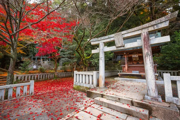 Santuario Dazaifu Tenmangu Dedicato Allo Spirito Sugawara Michizane Studiosa Politica — Foto Stock