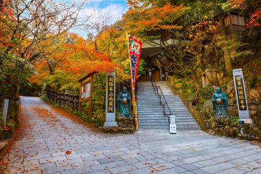 Japonya 'nın Fukuoka kentindeki Nanzoin Tapınağı, dünyanın en büyük bronz heykeli olduğunu iddia eden Yaslanan Buda' nın (Nehanzo) dev heykeline ev sahipliği yapmaktadır..