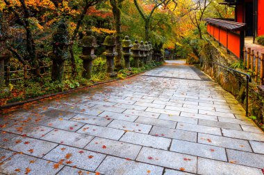 Japonya 'nın Fukuoka kentindeki Nanzoin Tapınağı, dünyanın en büyük bronz heykeli olduğunu iddia eden Yaslanan Buda' nın (Nehanzo) dev heykeline ev sahipliği yapmaktadır..