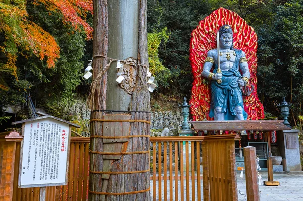 Cedr Przeżył Uderzenie Pioruna Grawerem Boga Kaminari Świątyni Nanzoin Fukuoka — Zdjęcie stockowe