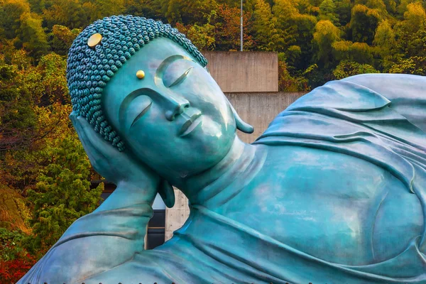 Tempio Nanzoin Fukuoka Giappone Ospita Enorme Statua Del Buddha Sdraiato — Foto Stock