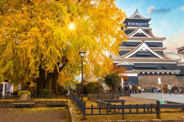 Kumamoto Japan Nov 2022 Kumamoto Slotts Historia Går Tillbaka Till — Stockfoto