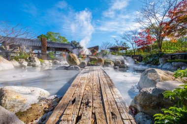 Beppu, Oita, Japonya 'da Oniishibozu Jigoku kaplıcaları. Kasaba onsen (kaplıcaları) ile ünlüdür. 8 büyük jeotermal noktaya sahiptir ve 