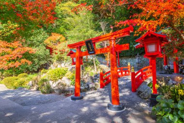 Hakuryu Inari Okami (Beyaz Ejder Inari Okami) Japonya 'nın en ünlü kaplıcalarından Oita' nın Beppu kentindeki Umi Jigoku kaplıcasında bir türbe.