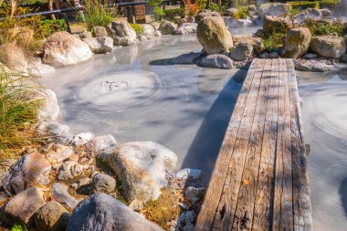 Beppu, Oita 'da Oniishibozu Jigoku kaplıcaları. Kasaba onsen (kaplıcaları) ile ünlüdür. 8 büyük jeotermal noktaya sahiptir ve 