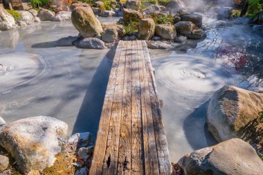 Beppu, Oita 'da Oniishibozu Jigoku kaplıcaları. Kasaba onsen (kaplıcaları) ile ünlüdür. 8 büyük jeotermal noktaya sahiptir ve 