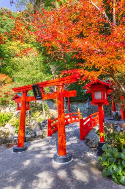 Hakuryu Inari Okami (Beyaz Ejder Inari Okami) Japonya 'nın en ünlü kaplıcalarından Oita' nın Beppu kentindeki Umi Jigoku kaplıcasında bir türbe.
