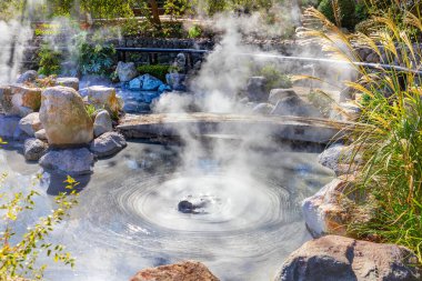 Beppu, Oita 'da Oniishibozu Jigoku kaplıcaları. Kasaba onsen (kaplıcaları) ile ünlüdür. 8 büyük jeotermal noktaya sahiptir ve 