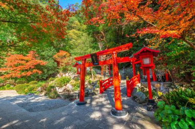 Hakuryu Inari Okami (Beyaz Ejder Inari Okami) Japonya 'nın en ünlü kaplıcalarından Oita' nın Beppu kentindeki Umi Jigoku kaplıcasında bir türbe.