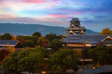 Kumamoto Kalesi 'nin tarihi 1467' ye dayanıyor. 2006 yılında, Kumamoto Kalesi Japonya Kale Vakfı tarafından Japonya 'nın 100 Güzel Kalesi arasında yer aldı.