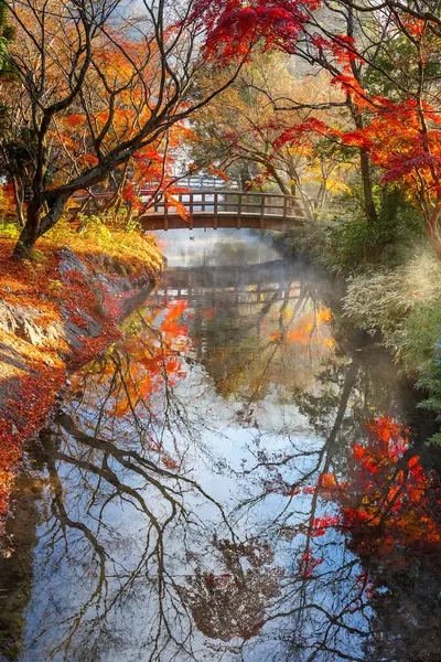 有名な湯布院リゾートタウンの公園の秋の風景 — ストック写真