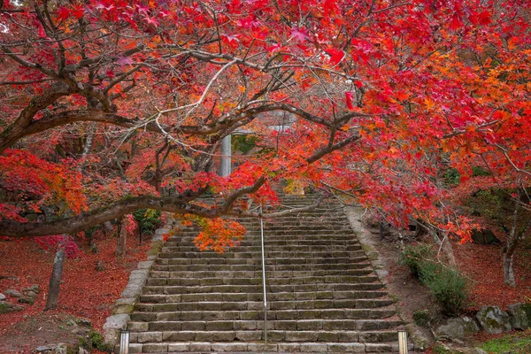 Farbenfrohe Herbstlandschaft Homangu Kamado Schrein Fukuoka Japan — Stockfoto
