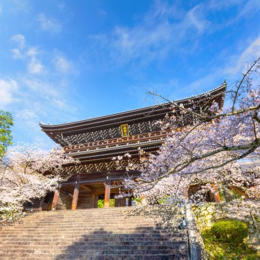Güzel Kiraz Çiçeği - Chion-in Tapınağı 'nın manzaralı bahar zamanı Sakura
