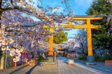 Hirano-jinja, İmparator Kazan döneminde 985 yılından bu yana her yıl bir kiraz çiçeği festivaline ev sahipliği yapmaktadır ve festival Kyoto 'da düzenli olarak düzenlenen en eski festival olmuştur.
