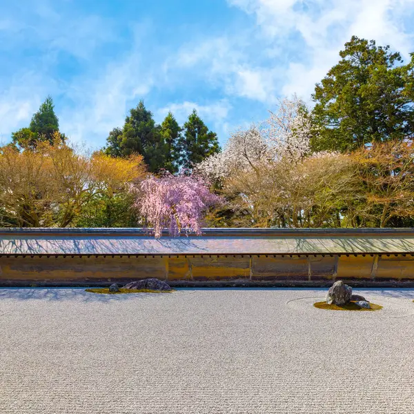 Der Ryoanji Tempel Beherbergt Japans Berühmtesten Steingarten Und Schöne Kirschblüten — Stockfoto