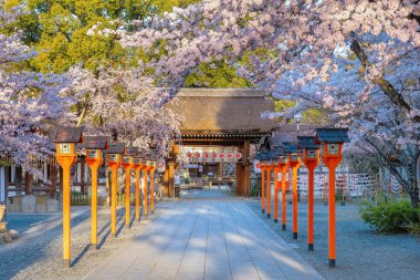 Hirano-jinja, İmparator Kazan döneminde 985 yılından bu yana her yıl bir kiraz çiçeği festivaline ev sahipliği yapmaktadır ve festival Kyoto 'da düzenli olarak düzenlenen en eski festival olmuştur.