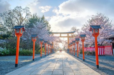 Hirano-jinja, İmparator Kazan döneminde 985 yılından bu yana her yıl bir kiraz çiçeği festivaline ev sahipliği yapmaktadır ve festival Kyoto 'da düzenli olarak düzenlenen en eski festival olmuştur.