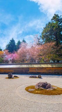 Ryoanji Tapınağı, Japonya 'nın en ünlü kaya bahçesi ve bahar zamanı kiraz çiçeklerinin açtığı yerdir.