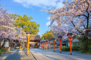 Hirano-jinja, İmparator Kazan döneminde 985 yılından bu yana her yıl bir kiraz çiçeği festivaline ev sahipliği yapmaktadır ve festival Kyoto 'da düzenli olarak düzenlenen en eski festival olmuştur.