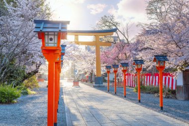 Hirano-jinja, İmparator Kazan döneminde 985 yılından bu yana her yıl bir kiraz çiçeği festivaline ev sahipliği yapmaktadır ve festival Kyoto 'da düzenli olarak düzenlenen en eski festival olmuştur.