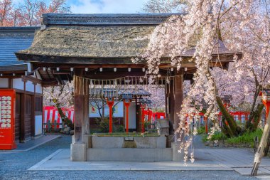 Hirano-jinja, İmparator Kazan döneminde 985 yılından bu yana her yıl bir kiraz çiçeği festivaline ev sahipliği yapmaktadır ve festival Kyoto 'da düzenli olarak düzenlenen en eski festival olmuştur.