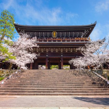 Kyoto, Japonya 'daki Chion-in tapınağında güzel bir çiçek açan kiraz çiçeği - Sakura manzaralı bahar zamanı